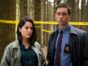 Dublin MUrders TV show on Starz: canceled or renewed?